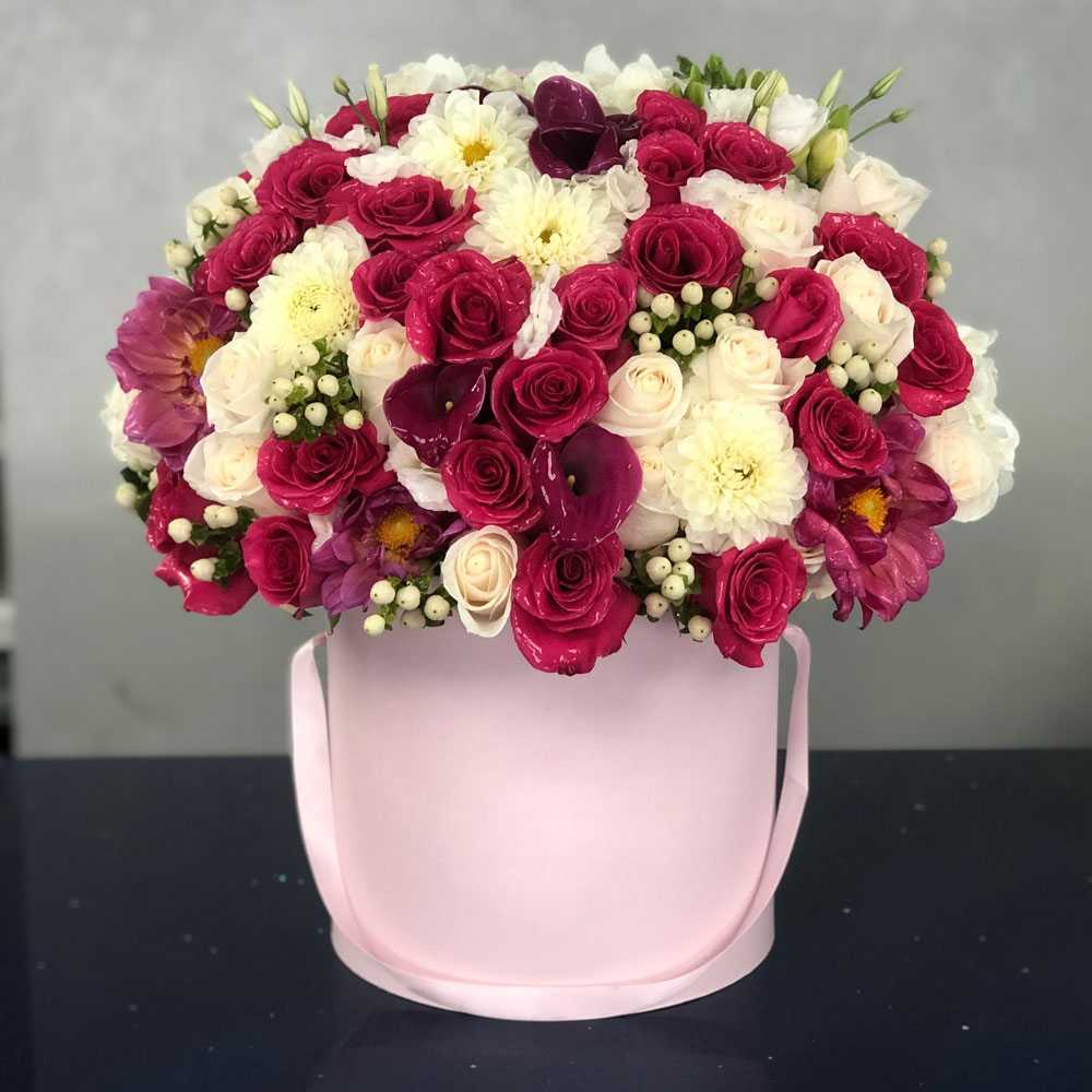 Принцесс printsess