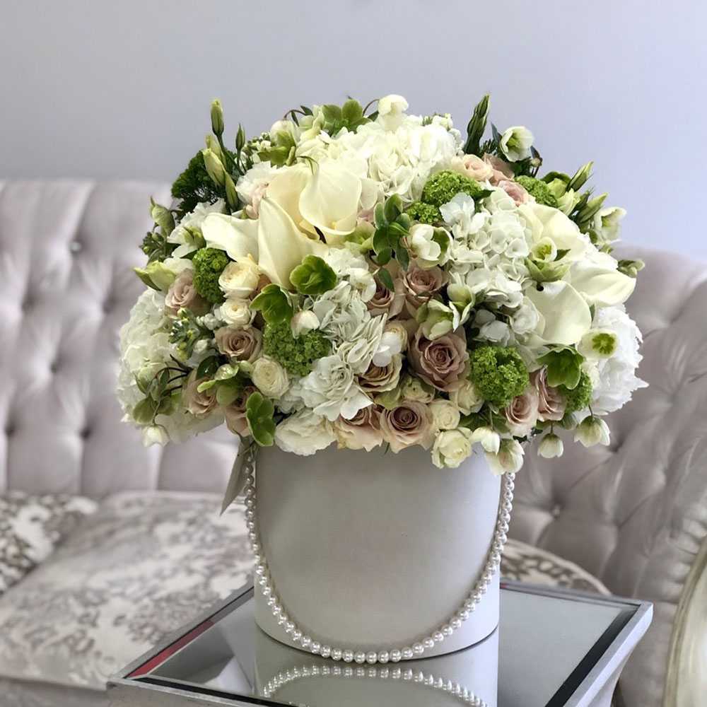 Муксида muksida