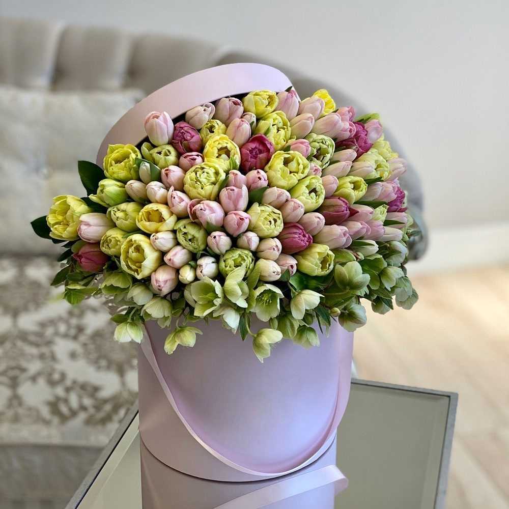 Антарес antares